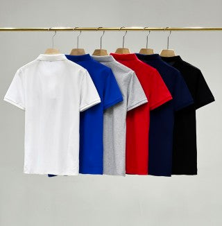 Ralph Lauren Polo Shirt Six-Color Embroidered Classic Polo